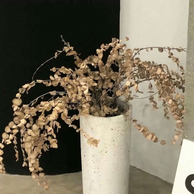 Furry插画细节刻画兽圈群